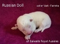 Russian Doll