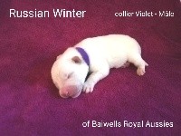 Russian Winter