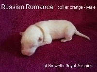 Russian Romance