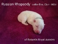 Russian Rhapsody