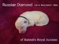 Russian Diamond